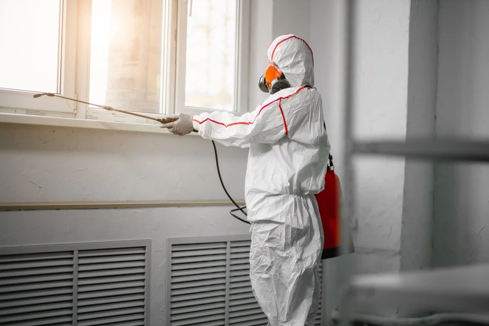 Professional mold remediation services in Abingdon, MD
